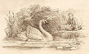 Illustration til "Halvhundrede Fabler for Børn" af Hey by Martinus Rørbye