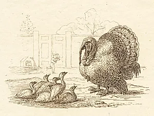 Illustration til "Halvhundrede Fabler for Børn" af Hey by Martinus Rørbye