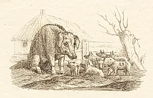 Illustration til "Halvhundrede Fabler for Børn" af Hey by Martinus Rørbye
