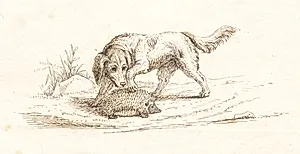 Illustration til "Halvhundrede Fabler for Børn" af Hey by Martinus Rørbye