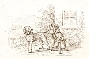 Illustration til "Halvhundrede Fabler for Børn" af Hey by Martinus Rørbye