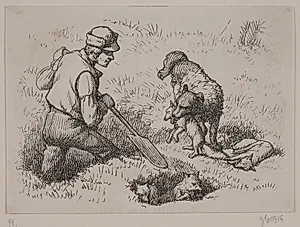 Illustration til "Hr. Mikkel", digt af Christian Richardt by Ubekendt