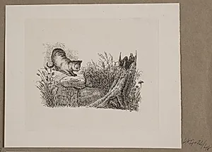 Illustration til O. Specter, "Fabler for Børn" by Vilhelm Kyhn