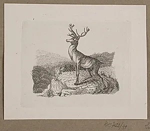 Illustration til O. Specter, "Fabler for Børn" by Vilhelm Kyhn