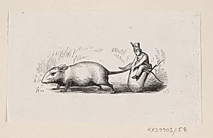 Illustration til "Ole Lukøie" i H.C. Andersen, "Eventyr og Historier", Bind 1 by H.P. Hansen