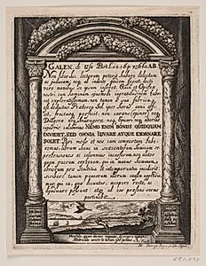 Illustration til Simon Paulli, "Quadripartitum Botanicum", 1667 by Albert Haelwegh