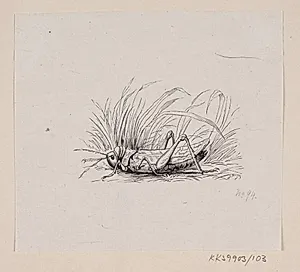 Illustration til "Springfyren" i H.C. Andersen, "Eventyr og Historier", Bind 2 by H.P. Hansen
