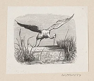 Illustration til "Storkene" i H.C. Andersen, "Eventyr og Historier", Bind 1 by H.P. Hansen
