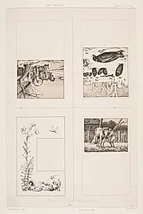 Illustrationer til "Billedbog for børn. Tegnet af Otto Haslund og Pietro Krohn med Vers af J. Krohn"