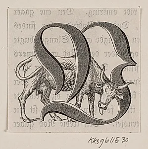 Initialer til Fabricius' Danmarks historie by H.C. Henneberg