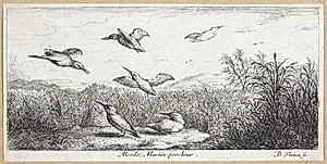 Isfuglen (Alcedo) by Albert Flamen