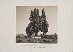 Italiensk landskab med cypresser by Adolph Kittendorff