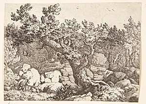 Jæger ved et stort træ by Allaert van Everdingen