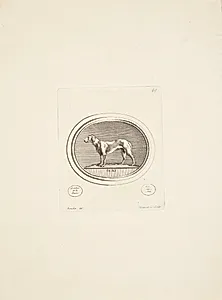 Jagthund by Madame de Pompadour