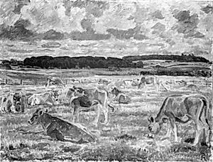 Jerseykøer