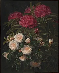 Kamelier og rhododendron