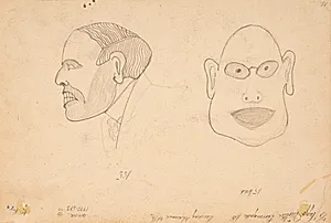 Karikaturer