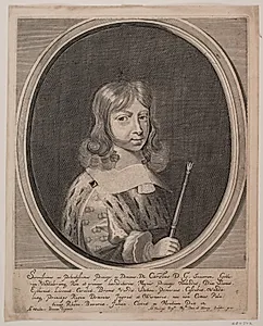 Karl XI by Albert Haelwegh