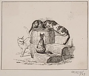 Kattene by Adolph Kittendorff