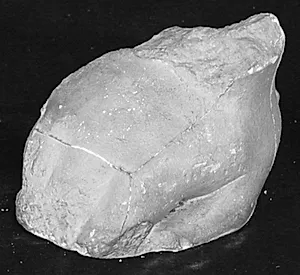 Kentaur og lapithkvinde, fragment by Ubekendt