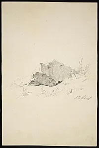 Klippeformation og planter by Caspar David Friedrich