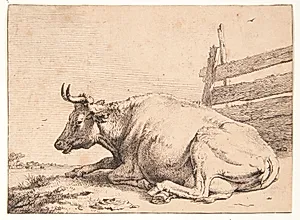 Ko liggende ved et hegn by Paulus Potter