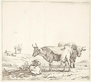 Koen, tyren og kalven by Karel Du Jardin