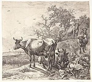 Kohyrden by Paulus Potter