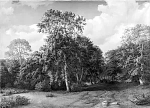 Komponeret skovparti fra Præstevangen ved Frederiksborg by Ulrich Baudissin