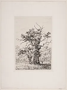 Kongeegen. Christianssæde, Lolland