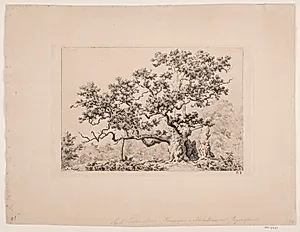 Kongeegen