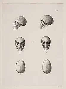 "Kongegravene i Ringsted Kirke". Planche XIV by Heinrich Hansen