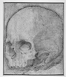 Kranie by Giovanni Battista Caracciolo
