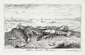 Krebsen (Astacus fluuiatilus) by Albert Flamen