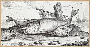 Kuller (Edefinus) by Albert Flamen