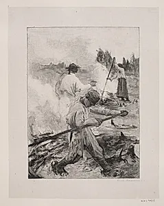 Kulsviere