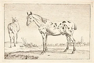 Kupperet hest by Paulus Potter