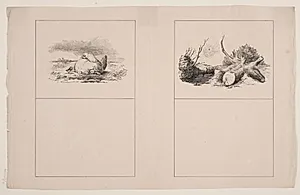 Kyllingerne; Ederkoppen by Adolph Kittendorff