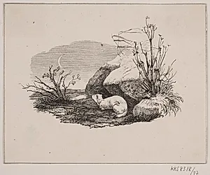 Lækatten by Adolph Kittendorff