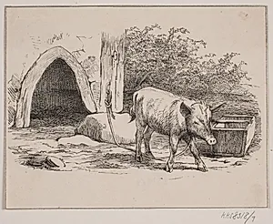 Lænkegrisen by Adolph Kittendorff