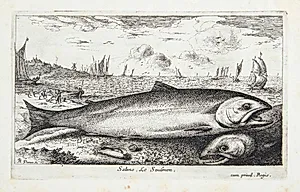 Laksen (Salmo) by Louis de Deyster