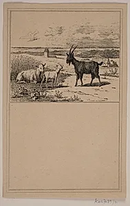 Lammet og bukken. Nr. 10 i Chr. Winther og M. Rørbye, "25 Billeder for små børn" by Adolph Kittendorff