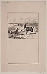 Lammet og bukken. Prøvetryk til Chr. Winther og M. Rørbye, "25 Billeder for små børn" by Adolph Kittendorff