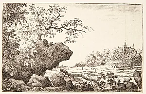 Landskab med nedfalden gren by Allaert van Everdingen