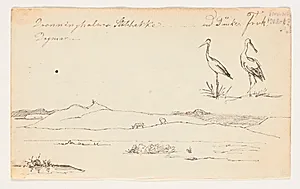 Landskab ved Arresø og studie af to storke by Johan Thomas Lundbye