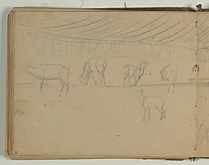 Landskabsskitse og skitser af skitser af rådyr by Niels Larsen Stevns