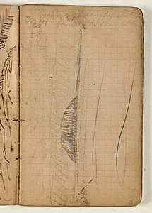Landskabsskitse, samt notat by Niels Larsen Stevns