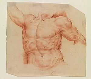Laokoon. Laokoons overkrop set forfra by Willem Panneels