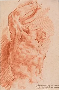 Laokoon. Laokoons overkrop set nedefra fra højre side by Willem Panneels