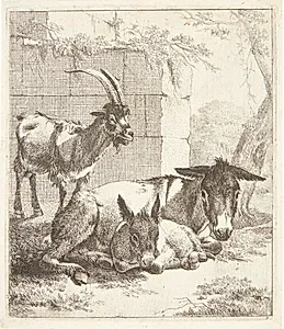 Liggende æsel med unge. Til venstre en ged foran en mur by Johann Heinrich Roos